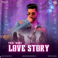 Teri Meri Love Story